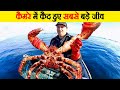 कैमरे में कैद हुए सबसे बड़े जीव | Largest Creatures Caught on Camera