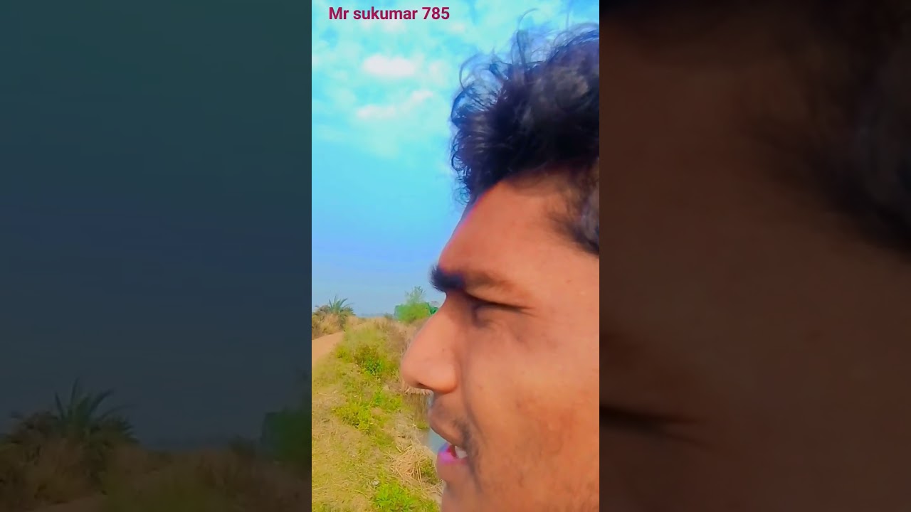 kobe dekhe tomay haralo mon।।annadata।।prasanjit ।। sukumar status video