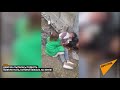 Маленькая девочка пыталась поднять пьяную мать — видео очевидца