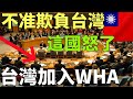 別欺負台灣！這國不甩中共！力挺台灣加入WHA 外國人看台灣2024