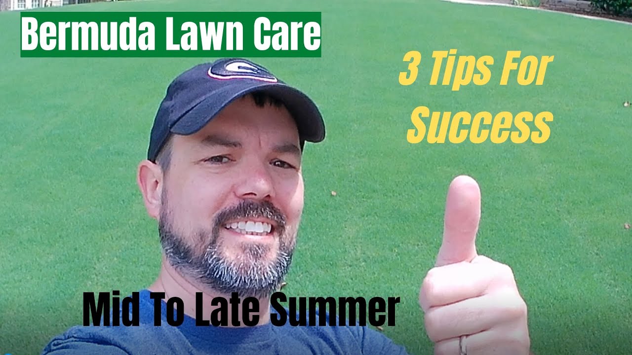 Bermuda Lawn Care - Mid to Late Summer - Three Tips For A Great Lawn ...