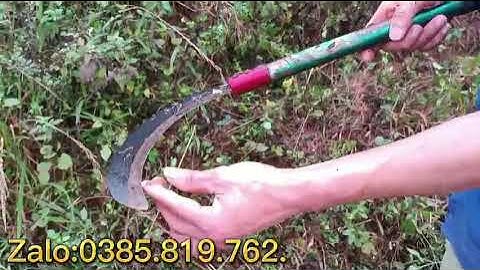 Liềm phát cỏ cán xanh hàng nhập khẩu trung quốc nhẹ lưỡi sắc bén bền mời các bác tham khảo.