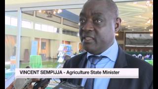 Developing small holder value chains key for agriculture sector growth