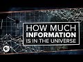 Understanding the Universe: Information and Limits