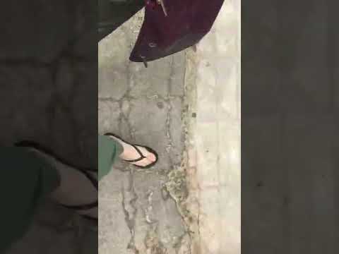 L Arrivée Sur La Plage De Waikiki 