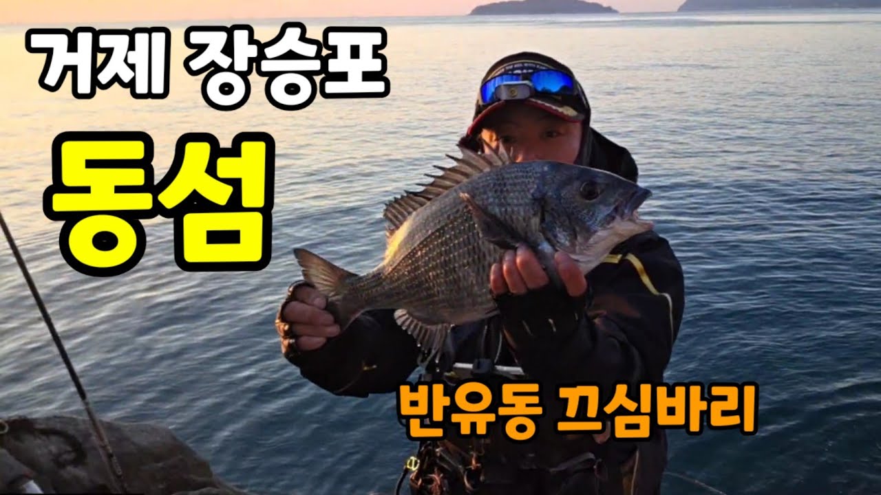 거제 장승포 동섬 반유동끄심바리 #끄심바리 #감성돔낚시 #감성돔경단 #감성돔채비 #낚시 #fishing #바다 #빨리마켓
