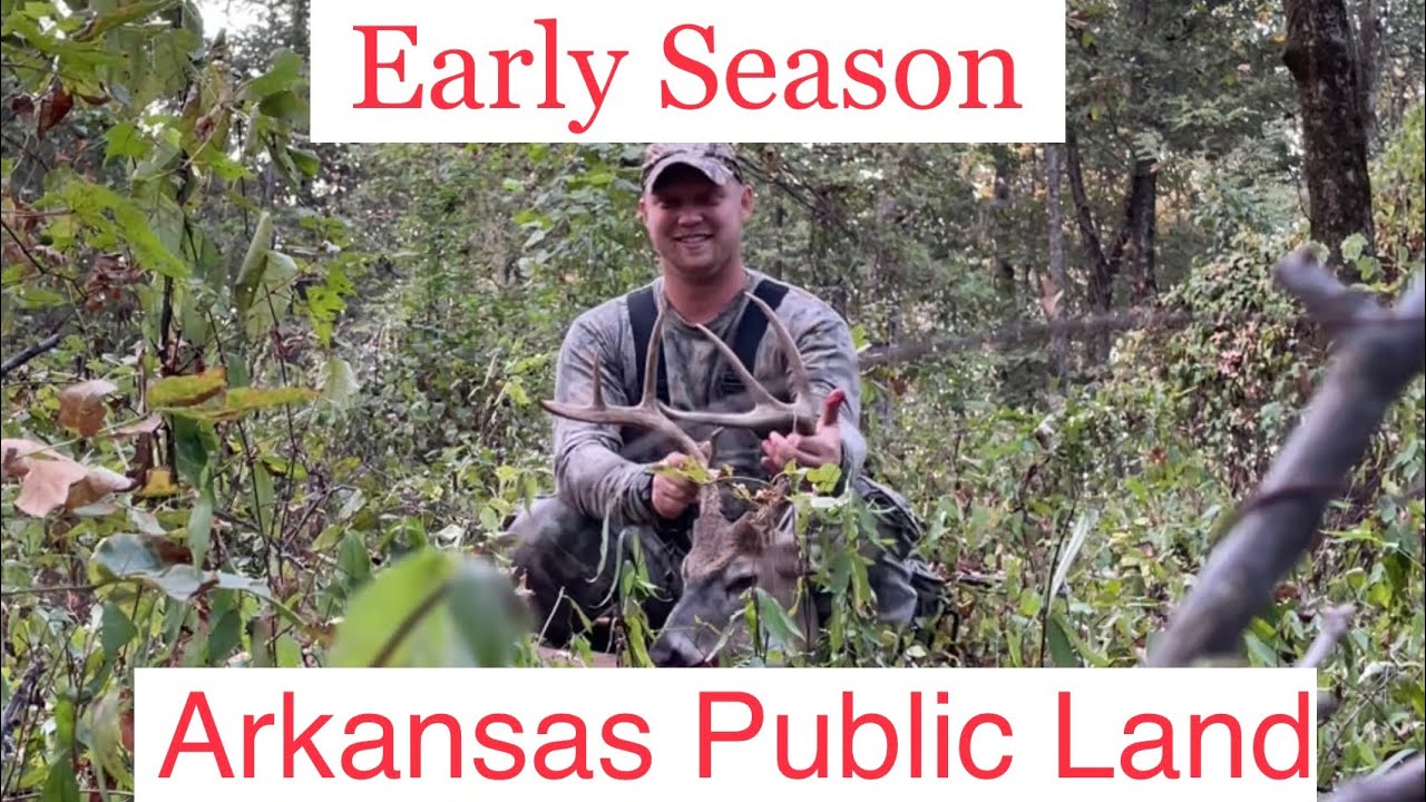 Opening Week Arkansas Public Land Bow Buck Deer Season 2022 Ep. 2