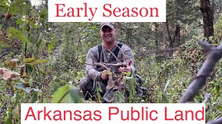 Opening Week Arkansas Public Land Bow Buck - Deer Season 2022 Ep. 2