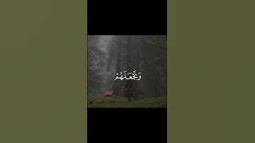 تلاوة خاشعة من سورة القصص بصوت الشيخ محمد صديق المنشاوي
