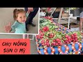 Vlog 1056 ll ĐI CHỢ NÔNG SẢN Ở MỸ VỪA ĐÃ MẮT VỪA CƯỜI K NHẶT ĐC GĂNG VỚI MẸ JADE