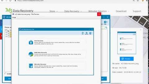 How to preview the found files with M3 Bitlocker Recovery after scanning?