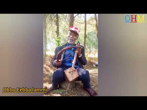 Obbo Eebba Lammi Masiiqo March 5 2024