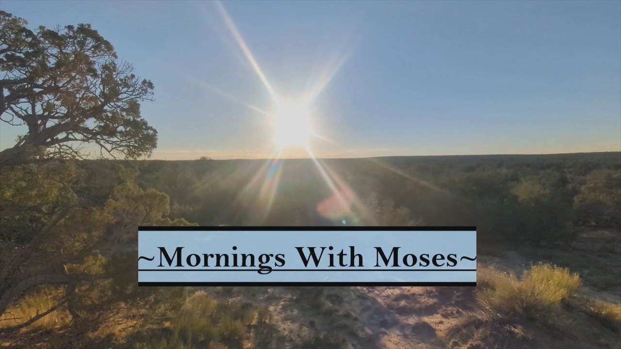 Утро с Моисеем ~ Ходите в обновлённой жизни