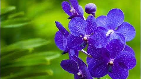 ما تيسر من سورة الحج القارئ بدر اليوسف