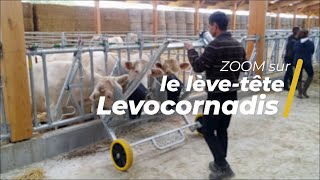 Le lève-tête Levocornadis : lever plusieurs têtes en même temps rapidement et en toute sécurité !