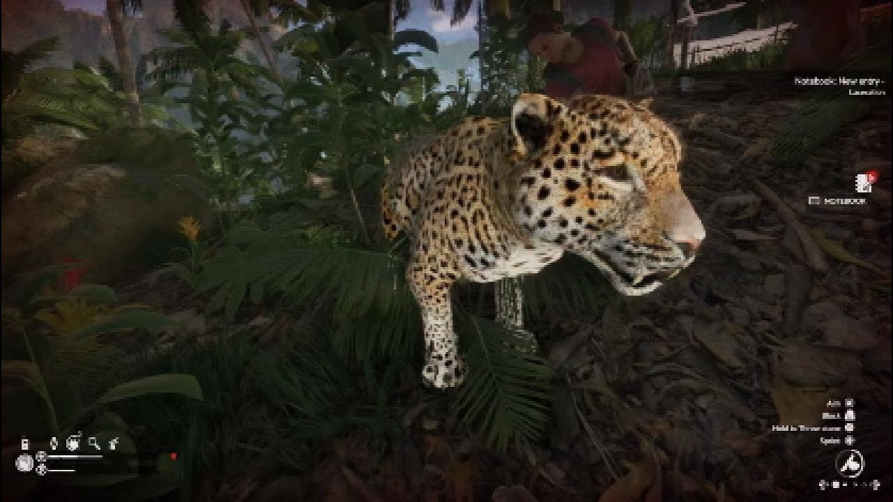 Green Hell Jaguar Attacks YouTube green-hell-jaguar-attacks-youtube