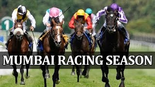Catch the first edition of indian classic race season, as et now gets
you all action from royal western india turf club, mumbai.
subscribe...