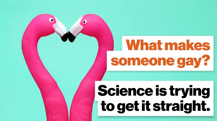 What makes someone gay? Science is trying to get it straight. | Alice Dreger | Big Think - DayDayNews