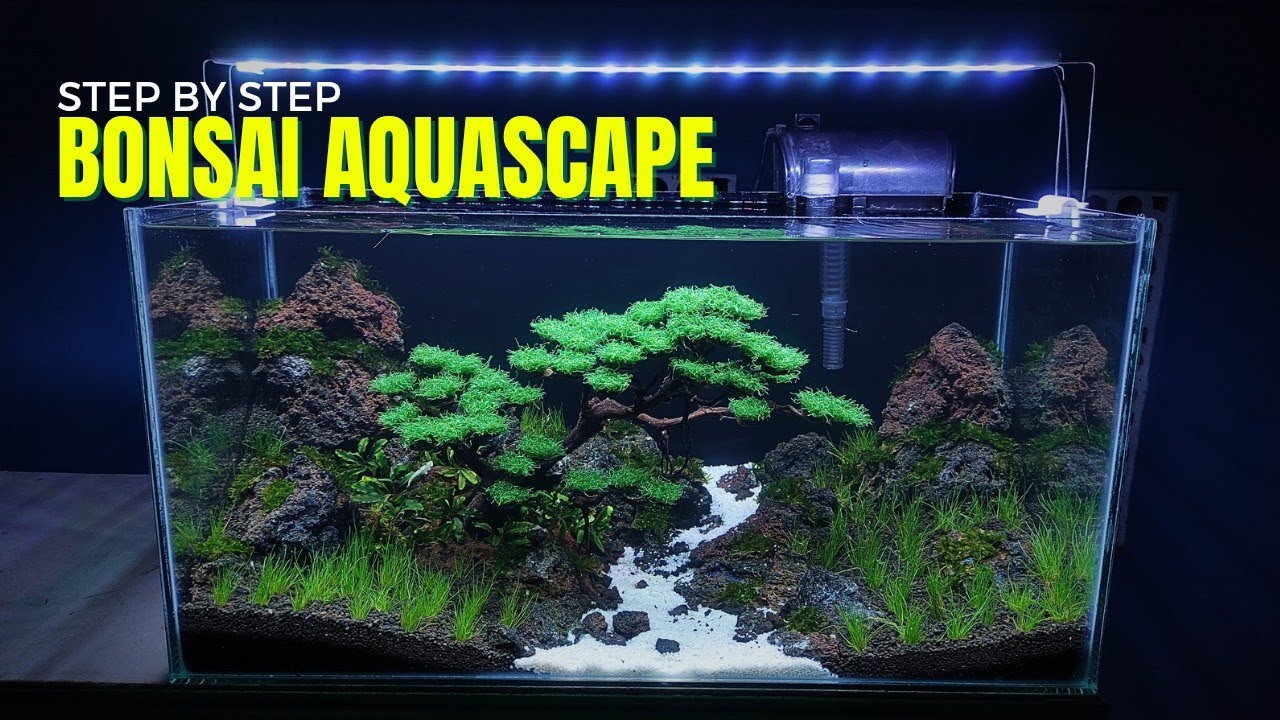 Menghias aquarium ukuran 60 cm dengan Aquascape bonsai by Aqua One Design 