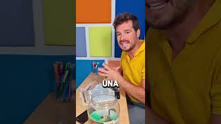 Tienes todos mis CURSOS y LIBROS en mi web: jamesvanderlust.com #educación #educar