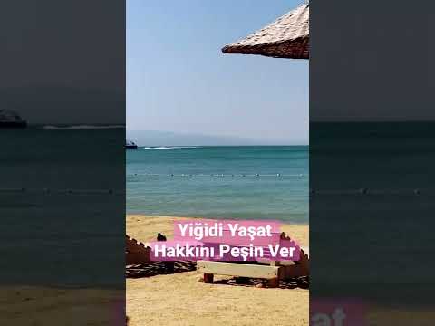 İstanbul, Psikolog, Pedagog,