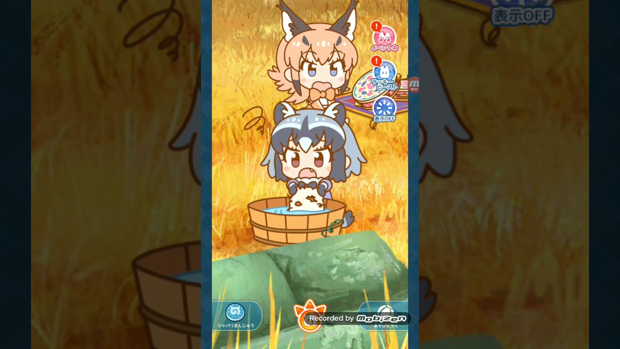 Kemono friends pavillion : Raccoon