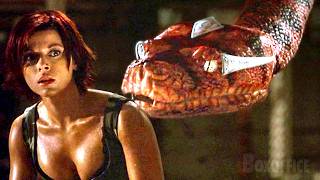 In the Boa Constrictor's nest | Boa vs. Python | CLIP