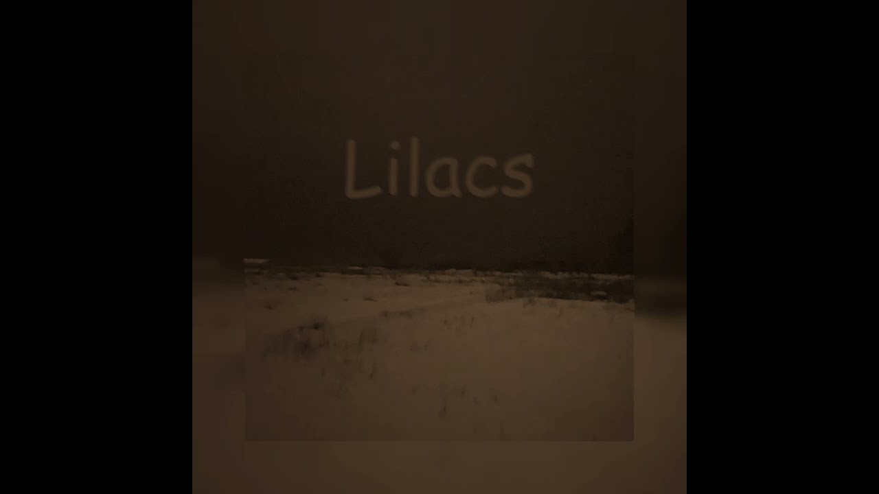Lilacs - Disturbed Mind (Slowed)