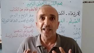 screenshot of the youtube video