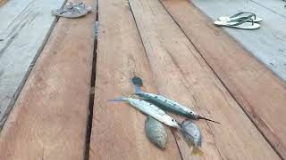 Desa Kambutu Kecamatan Batudaka