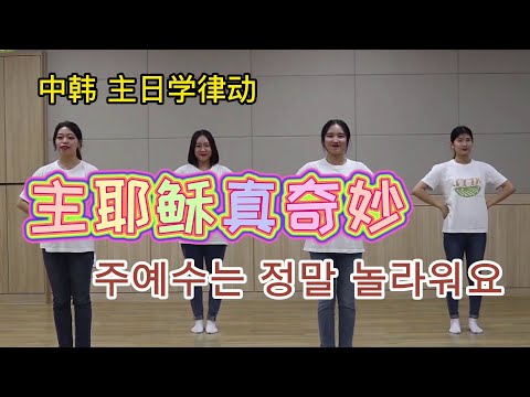 《#主耶稣真奇妙》。《#주예수는 정말 놀라워요》#中韩双语字幕！#主日学校、#儿童营唱这首歌非常好哦！韩国老师编排的律动，动作简单易学，#主日学老师们，赶紧学起来吧！赞美律动特辑4 #赞美学韩语