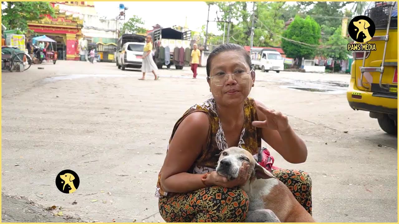 အန်တီ ခွေးစာကျွေးလာတာ (၁၀)နှစ်ကျော်ရှိပြီ