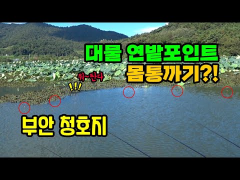 *가온*~~피싱다이어리 제513회붕어보트낚시