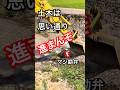 ちょ、後期が…プロの臨機応変