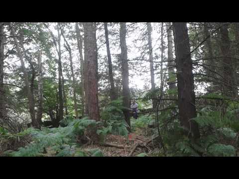 Comparing Fast Flight plus against Dacron B50