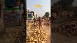 👉 Hard Work Never Fails 🧱 | Loading Bricks in Trolley #foryou #viral #amazingwork #viralvideo