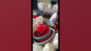 Cung cấp đầy đủ các loại cá giống nước ngọt. 0909770509 #cagiong #fishing #mientay #caloc #fish