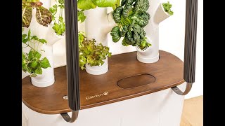 Unboxing And Setting Up My New Gardyn 3.0 An Indoor Gardening Game-Changer