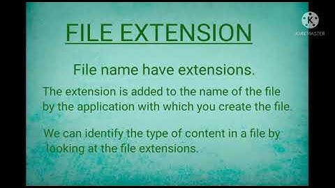 MLZS JHANSI CLASS 4 Computer Chapter 6 Naming and Organising Files Lecture 1