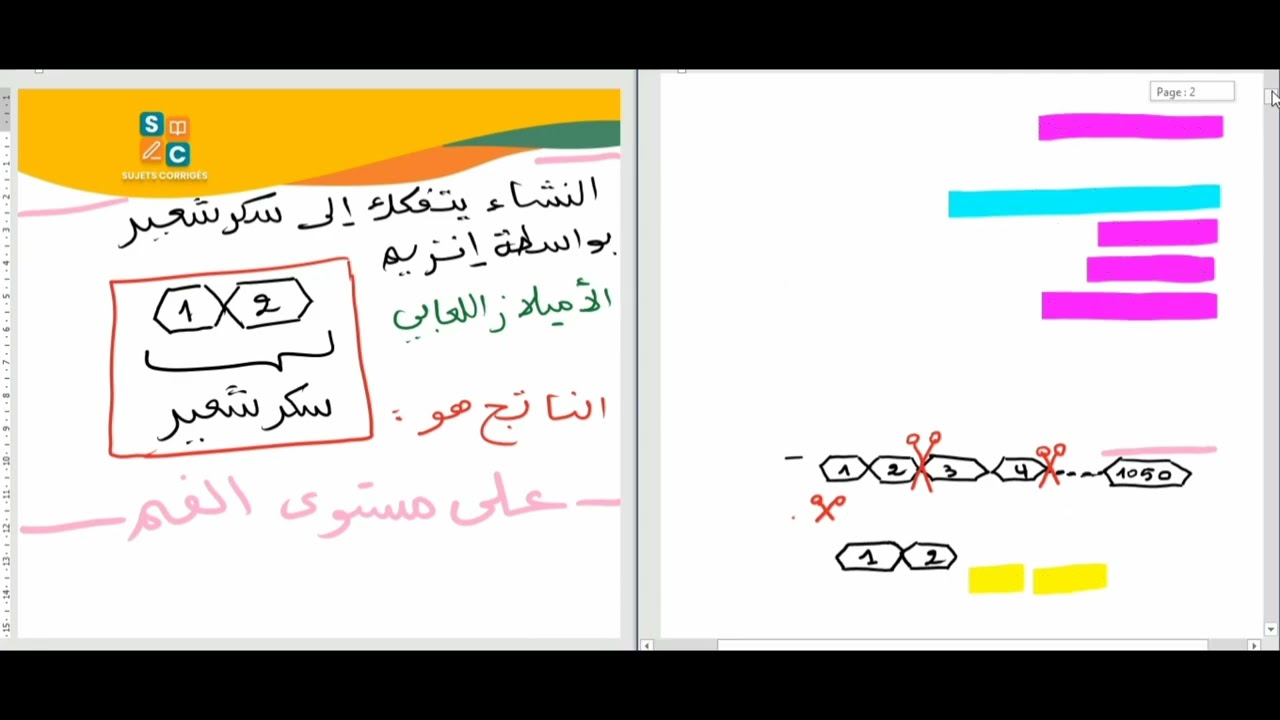 الهضم الكيميائي سنة رابعة متوسط.
