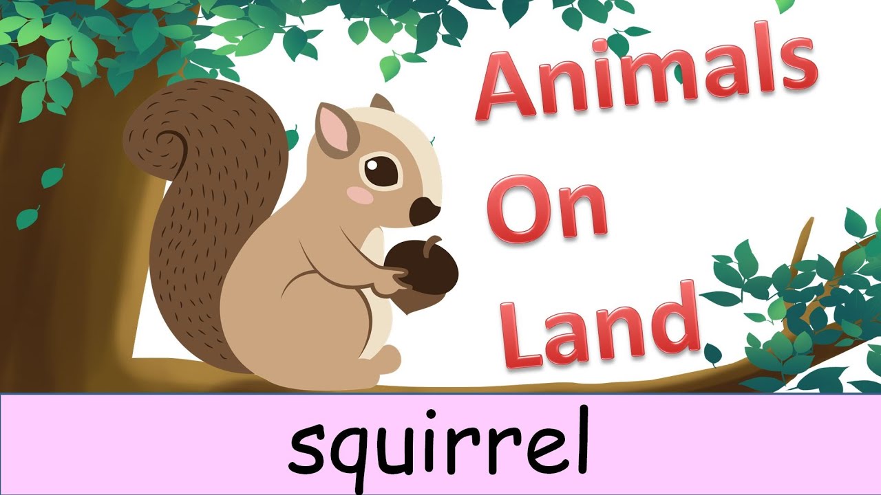 Vocabulary | Animals on Land｜#englishspeaking #learnfast #animals  #land  #動物 #陸上