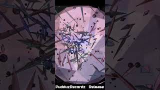 #pudduz - The Hold Style [recap] #pudduzrecordz N°007  #hardstyle #hardstylemusic #newmusic