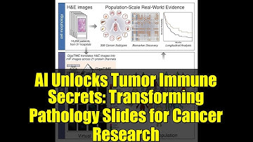 AI Unlocks Tumor Immune Secrets: Transforming Pathology Slides for Cancer Research
