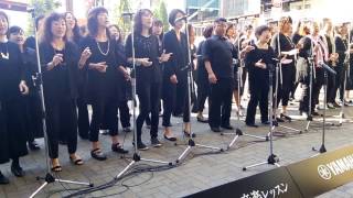 20160430 Hallelujah!