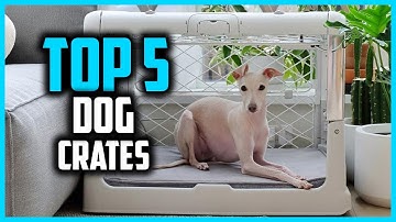 ✅ Top 5 Best Dog Crates in 2025