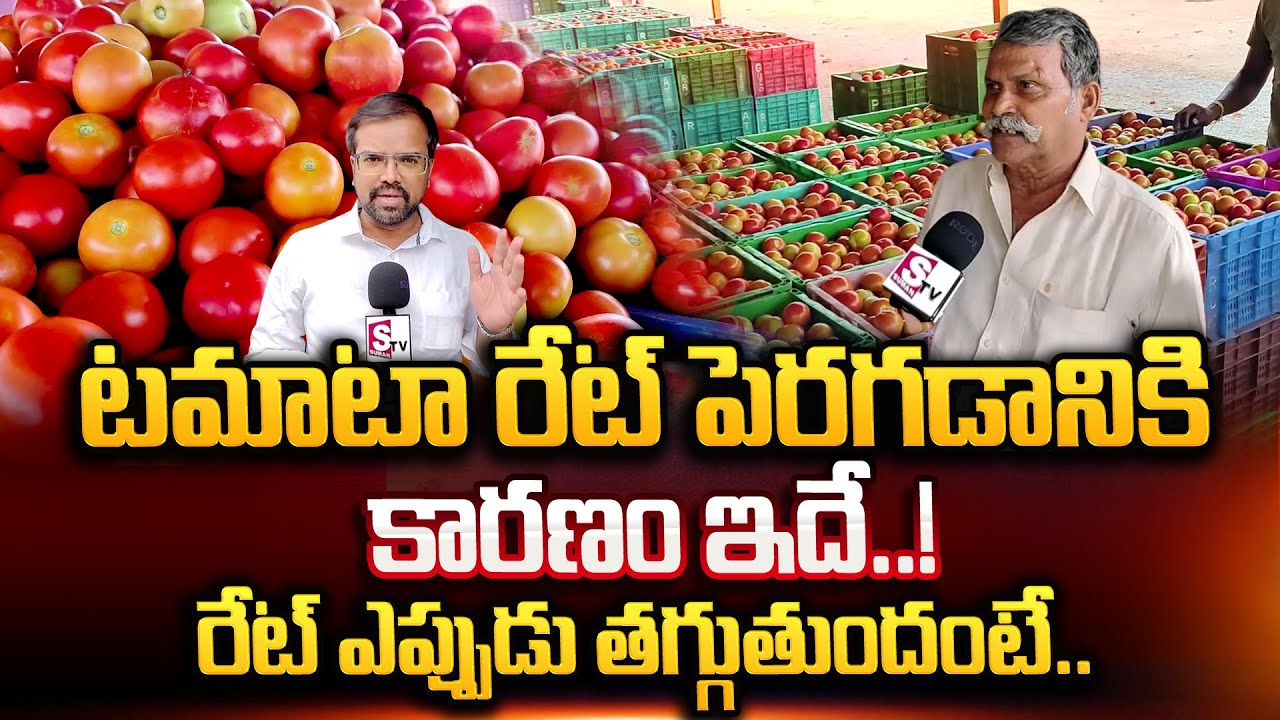 Reason For Tomato Price Hike | Tomato Price Will Increase More | Latest Telugu News