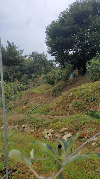 Somewhere to harvest it #music #lifestylevlog #struggleyourlife
