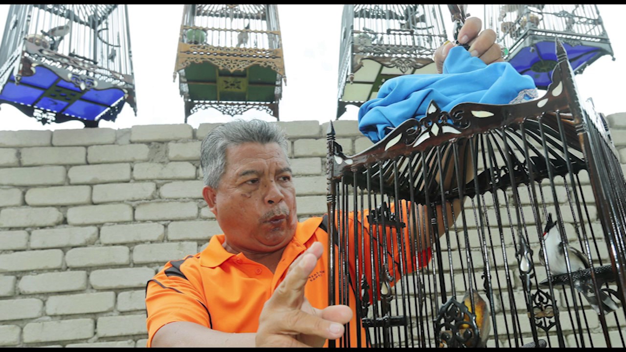 Demi Candik Arifin Habiskan Rm60 000 Bhplus Berita Harian