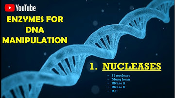 Enzymes for DNA Manipulation |•Nucleases| CSIR NET JRF|ICMR DBT|GATE| Part1️