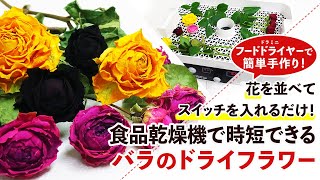 ドライフラワー乾燥機 プログラムコントロール Amazon | 2時間のクイックフラワー乾燥、ドライフラワーマシン